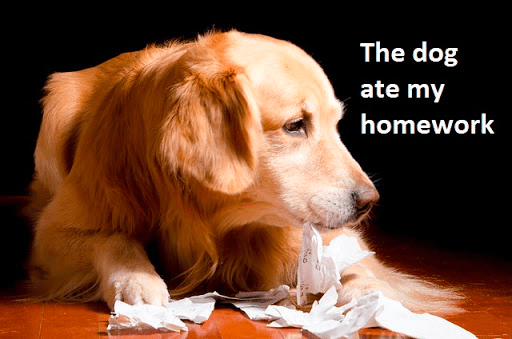 The dog ate my&nbsp;homework