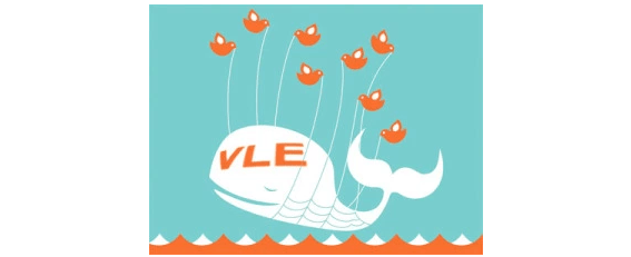 Why did VLEs&nbsp;fail?