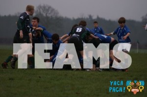 Photo courtesy of Ralph Holmes at Langley School